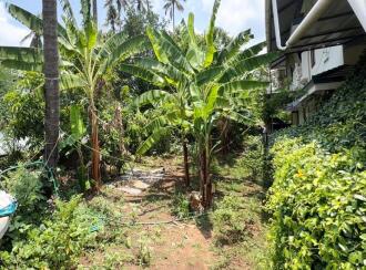 Residential Land for Sale in Thrissur, Amballoor, Amballoor Town, Amballoor