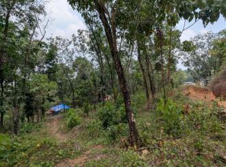 Agricultural Land for Sale in Thrissur, Kuttanellur, Ezhamkallu, Ambilikunu, Ezhamkallu, Vettukad, Puthur