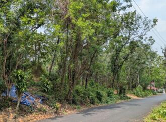 Agricultural Land for Sale in Thrissur, Kuttanellur, Ezhamkallu, Ambilikunu, Ezhamkallu, Vettukad, Puthur