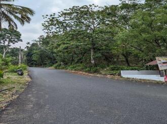 Agricultural Land for Sale in Thrissur, Kuttanellur, Ezhamkallu, Ambilikunu, Ezhamkallu, Vettukad, Puthur
