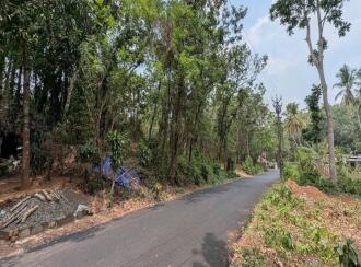 Agricultural Land for Sale in Thrissur, Kuttanellur, Ezhamkallu, Ambilikunu, Ezhamkallu, Vettukad, Puthur