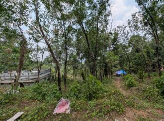 Agricultural Land for Sale in Thrissur, Kuttanellur, Ezhamkallu, Ambilikunu, Ezhamkallu, Vettukad, Puthur