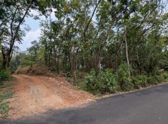 Agricultural Land for Sale in Thrissur, Kuttanellur, Ezhamkallu, Ambilikunu, Ezhamkallu, Vettukad, Puthur
