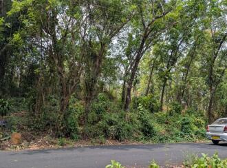 Agricultural Land for Sale in Thrissur, Kuttanellur, Ezhamkallu, Ambilikunu, Ezhamkallu, Vettukad, Puthur