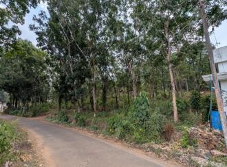 Agricultural Land for Sale in Thrissur, Kuttanellur, Ezhamkallu, Ambilikunu, Ezhamkallu, Vettukad, Puthur