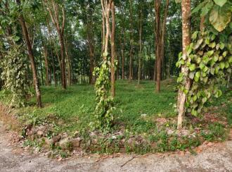 Residential Land for Sale in Kottayam, Pala, Pravithanam