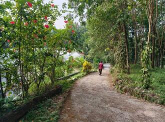 Residential Land for Sale in Kottayam, Pala, Pravithanam