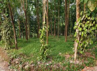 Residential Land for Sale in Kottayam, Pala, Pravithanam