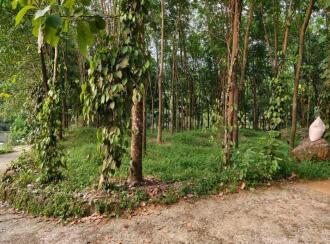 Residential Land for Sale in Kottayam, Pala, Pravithanam