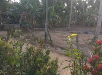 Residential Land for Sale in Kollam, Karunagapally, Puthiyakavu, Near Thazhava-Kuttippuram market