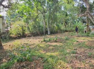 Residential Land for Sale in Trivandrum, Nedumangad, Vamanapuram, aattingal vamanapuram near mutharamman kovil