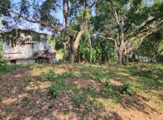 Residential Land for Sale in Trivandrum, Nedumangad, Vamanapuram, aattingal vamanapuram near mutharamman kovil