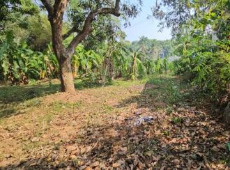 Residential Land for Sale in Trivandrum, Nedumangad, Vamanapuram, aattingal vamanapuram near mutharamman kovil