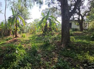 Residential Land for Sale in Trivandrum, Nedumangad, Vamanapuram, aattingal vamanapuram near mutharamman kovil