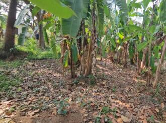 Residential Land for Sale in Trivandrum, Nedumangad, Vamanapuram, aattingal vamanapuram near mutharamman kovil