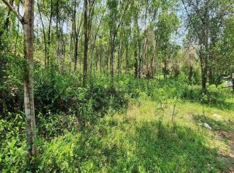 Residential Land for Sale in Kottayam, Karukachal, Nedumkunnam, Mulayamveli road