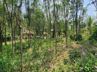 Residential Land for Sale in Kottayam, Karukachal, Nedumkunnam, Mulayamveli road