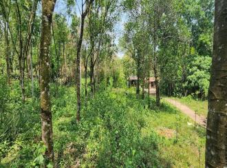 Residential Land for Sale in Kottayam, Karukachal, Nedumkunnam, Mulayamveli road