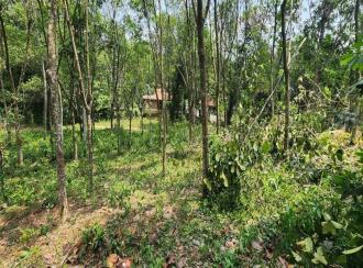 Residential Land for Sale in Kottayam, Karukachal, Nedumkunnam, Mulayamveli road