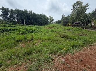 Residential Land for Sale in Pathanamthitta, Mallappally, Moosarikavala, Near old Mar Dionysius School