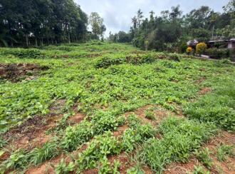 Residential Land for Sale in Pathanamthitta, Mallappally, Moosarikavala, Near old Mar Dionysius School