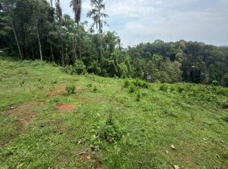 Residential Land for Sale in Pathanamthitta, Mallappally, Moosarikavala, Near old Mar Dionysius School
