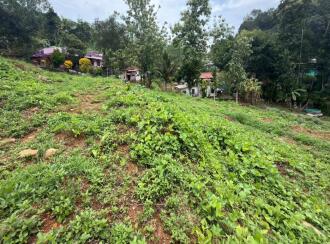 Residential Land for Sale in Pathanamthitta, Mallappally, Moosarikavala, Near old Mar Dionysius School