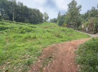Residential Land for Sale in Pathanamthitta, Mallappally, Moosarikavala, Near old Mar Dionysius School