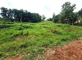 Residential Land for Sale in Pathanamthitta, Mallappally, Moosarikavala, Near old Mar Dionysius School