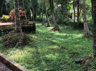 Residential Land for Sale in Pathanamthitta, Mallappally, Mallapally, MC Road