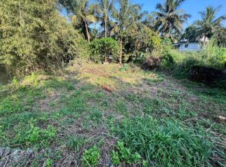 Residential Land for Sale in Palakkad, Palakkad, Kallekkad