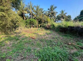 Residential Land for Sale in Palakkad, Palakkad, Kallekkad