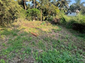 Residential Land for Sale in Palakkad, Palakkad, Kallekkad