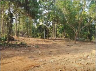 Commercial Land for Rent in Thrissur, Irinjalakuda, Tana, Fr Dismas Road