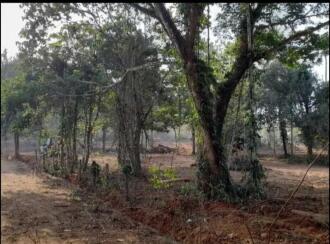 Commercial Land for Rent in Thrissur, Irinjalakuda, Tana, Fr Dismas Road