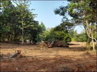 Commercial Land for Rent in Thrissur, Irinjalakuda, Tana, Fr Dismas Road