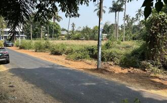 Residential Land for Sale in Thrissur, Thrissur, Chevvoor, parakovil road