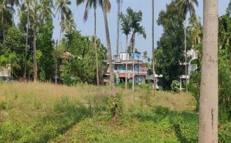 Residential Land for Sale in Thrissur, Thrissur, Chevvoor, parakovil road