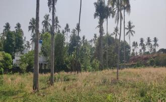 Residential Land for Sale in Thrissur, Thrissur, Chevvoor, parakovil road