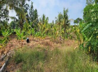 Residential Land for Sale in Kottayam, Changanassery, Kurichy