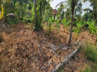 Residential Land for Sale in Kottayam, Changanassery, Kurichy