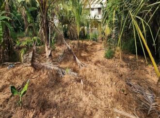 Residential Land for Sale in Kottayam, Changanassery, Kurichy
