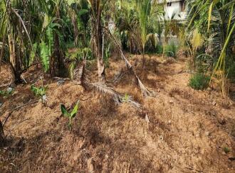 Residential Land for Sale in Kottayam, Changanassery, Kurichy