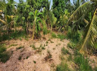 Residential Land for Sale in Kottayam, Changanassery, Kurichy
