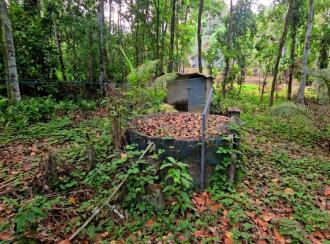 Residential House Villa for Sale in Kottayam, Changanassery, Thottackad, Eravuchira