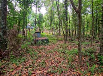 Residential House Villa for Sale in Kottayam, Changanassery, Thottackad, Eravuchira