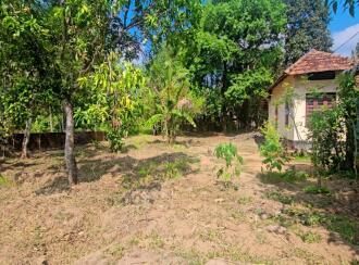Residential Land for Sale in Ernakulam, Aluva, Chengamanad, Near Cochin International Airport