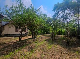 Residential Land for Sale in Ernakulam, Aluva, Chengamanad, Near Cochin International Airport