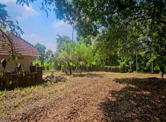 Residential Land for Sale in Ernakulam, Aluva, Chengamanad, Near Cochin International Airport