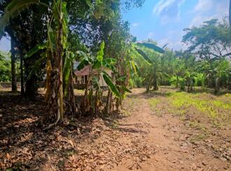 Residential Land for Sale in Ernakulam, Aluva, Chengamanad, Near Cochin International Airport